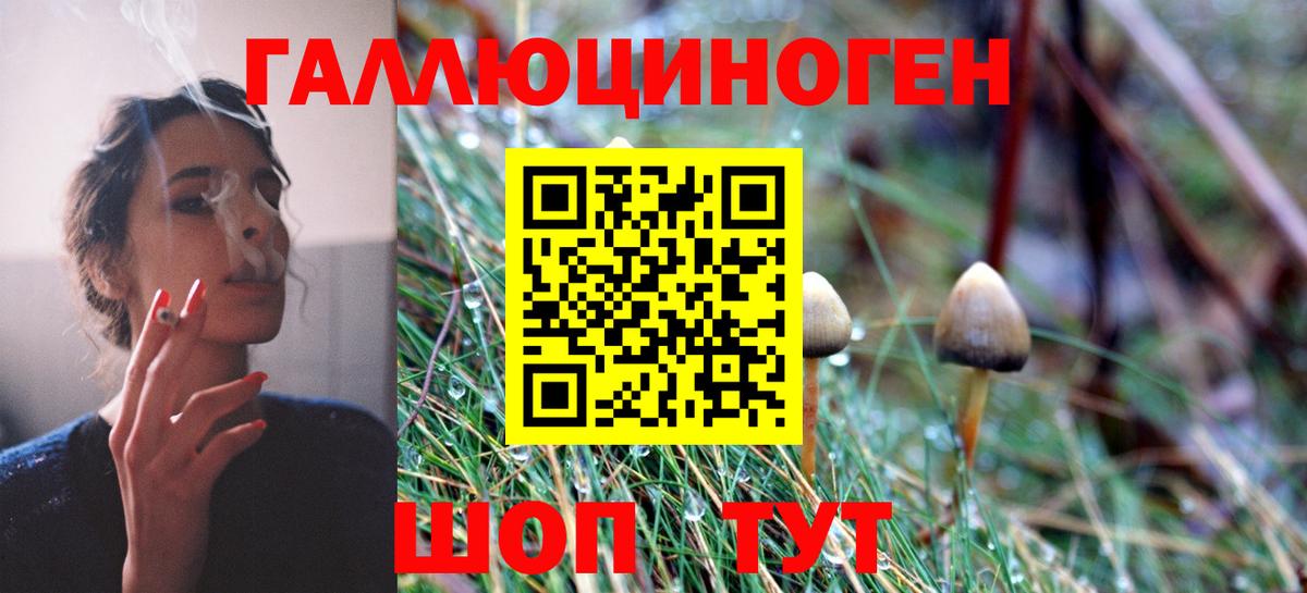 Галлюциногенные грибы мухоморы  Псилоцибиновые грибы мухоморы  Сатка  Вход с VPN 